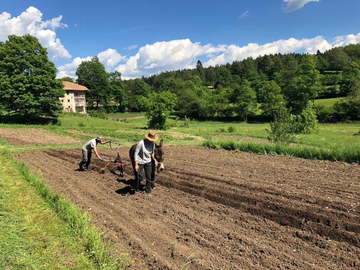 Bauernhof Hof Unternberg Apartment Magre all' Adige Bagian luar foto